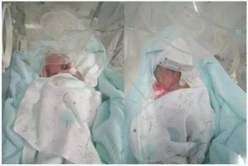 墨序生殖医学中心